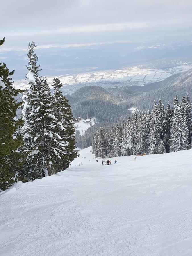 Spacious And Cosy Apartment In Bansko Royal Towers Complex Zewnętrze zdjęcie